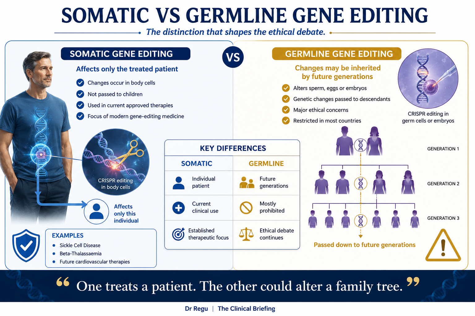 Somatic vs germline gene editing — the distinction that shapes the ethical debate. Somatic editing affects only the treated patient and is used in current approved therapies; germline editing alters sperm, eggs or embryos and is passed to future generations, restricted in most countries