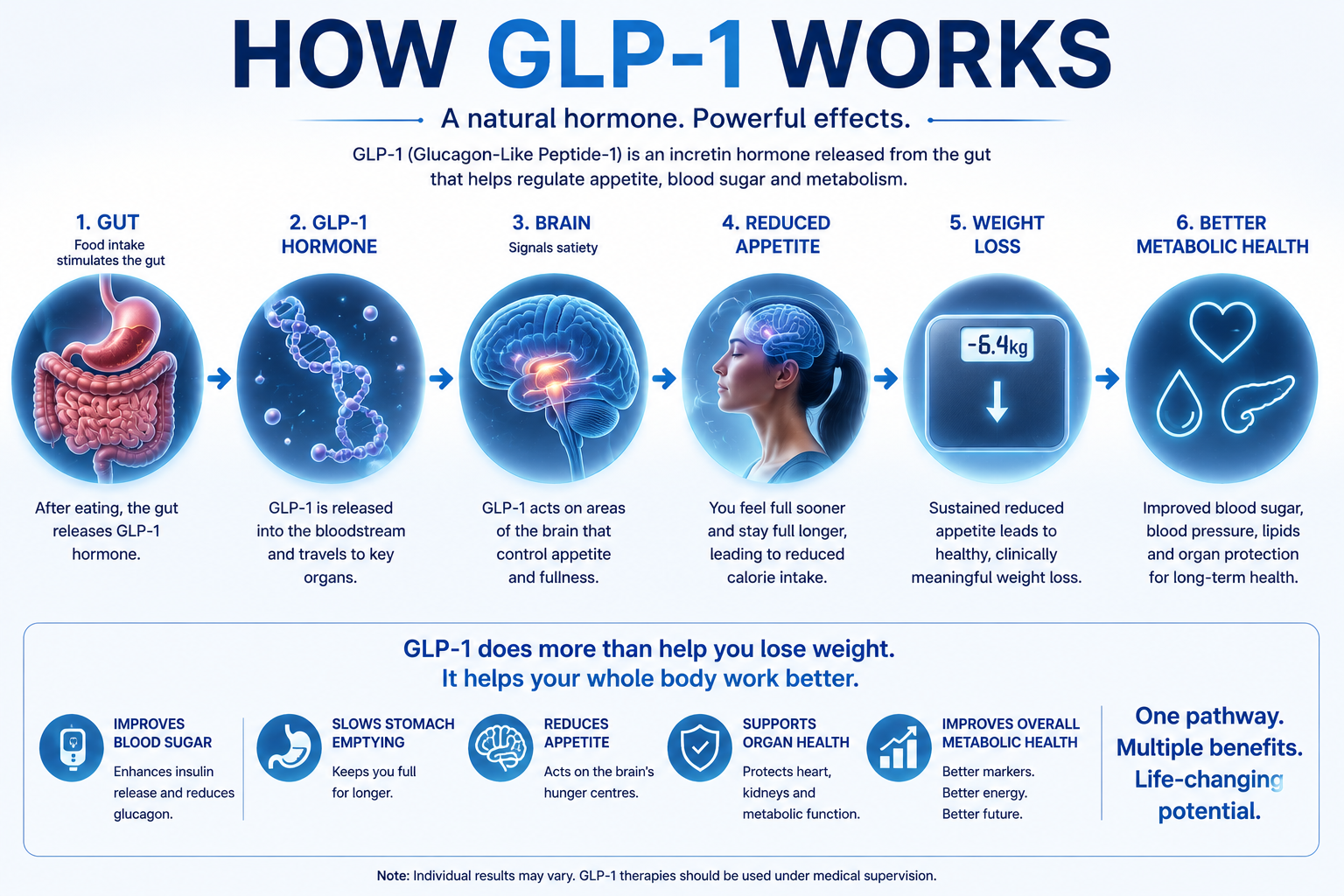 How GLP-1 works — a natural hormone with powerful effects, from the gut releasing GLP-1 hormone, to brain signals for satiety, reduced appetite, weight loss and better metabolic health
