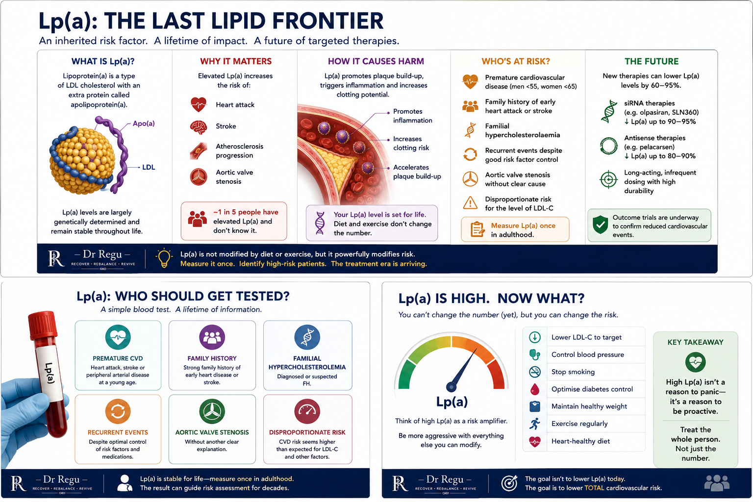 Infographic explaining what Lp(a) is, why it matters, how it causes harm, who is at risk, and the pipeline of emerging Lp(a)-lowering therapies