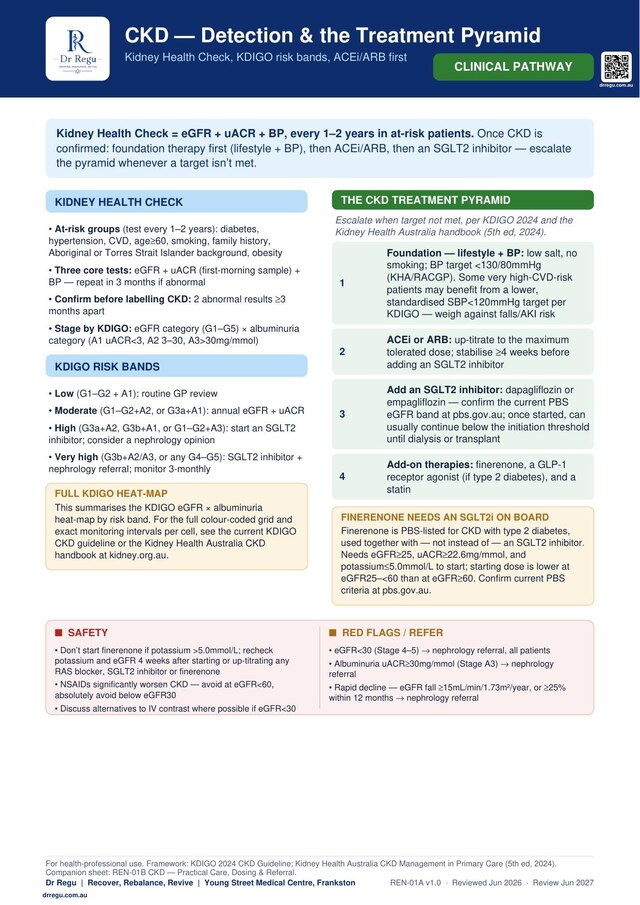 CKD Detection and Treatment Pyramid